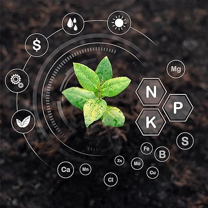 Restore India's Degrading Soils