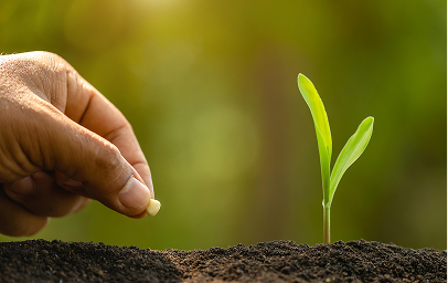 Seeds & Trait Innovation